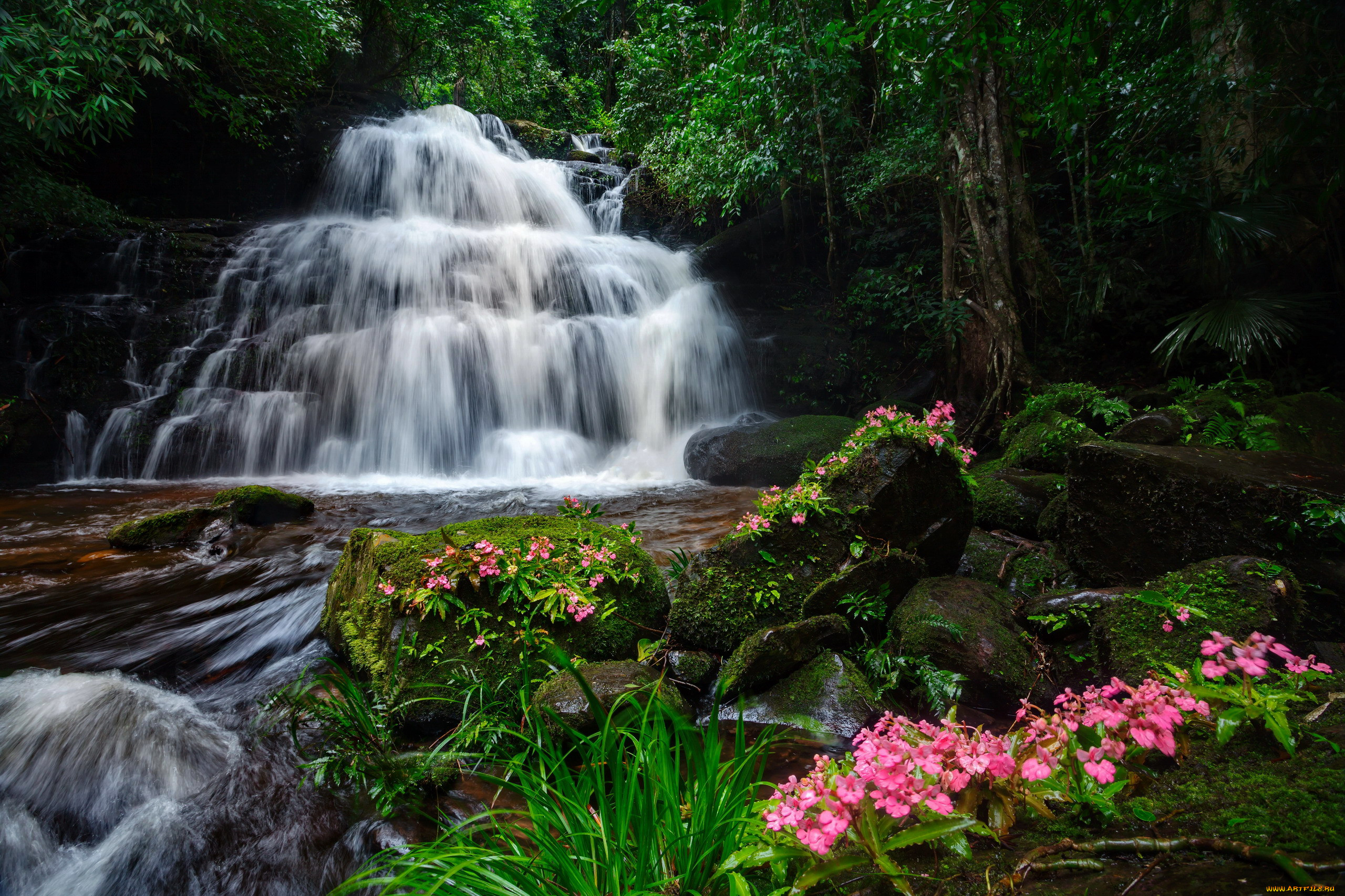 mun daeng waterfall, phu hin rong kla national park, thailand, , , mun, daeng, waterfall, phu, hin, rong, kla, national, park